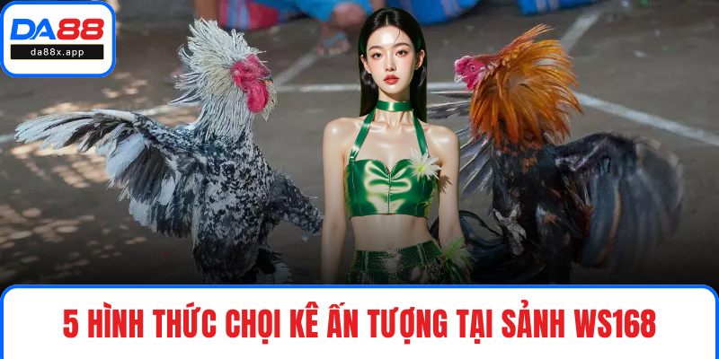 5 hình thức chọi kê ấn tượng tại sảnh Ws168